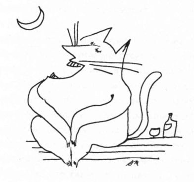 Kot